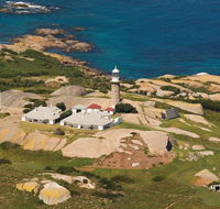 Naturewise Montague Island Nature Escape - VIC Tourism