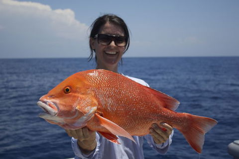 Absolute Ocean Charters - VIC Tourism 4