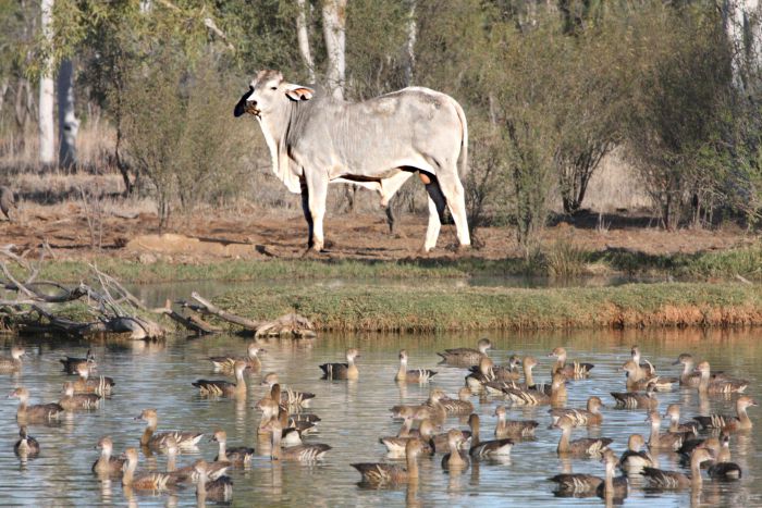 Min Min QLD VIC Tourism