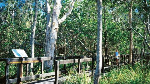 Kinaba Track - VIC Tourism 0