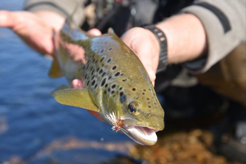 River Escapes - VIC Tourism 2