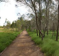 Billai dhagun Circuit Place of She-Oaks - VIC Tourism