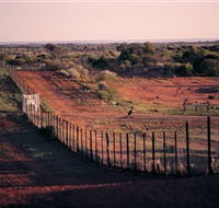 Tri State Safaris - VIC Tourism