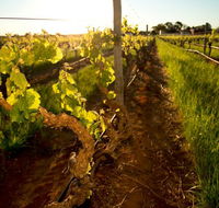 Kaesler Old Vine Vineyard Tour - VIC Tourism