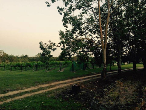 Brierley Wines - VIC Tourism 0