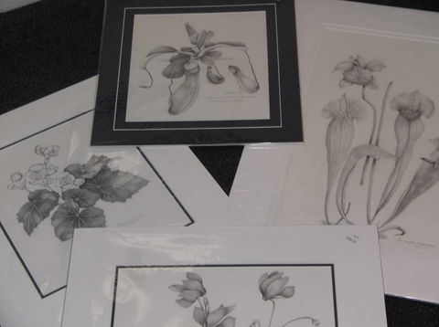 Masterpiece Framing & Gallery - VIC Tourism 2