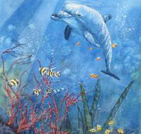 Nadas Fine Art Gallery - VIC Tourism