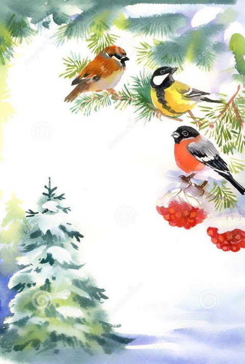 Two Birds Gallery - VIC Tourism 2