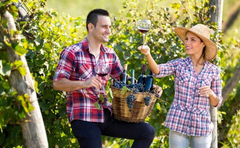 Two Tails Wines - VIC Tourism 0