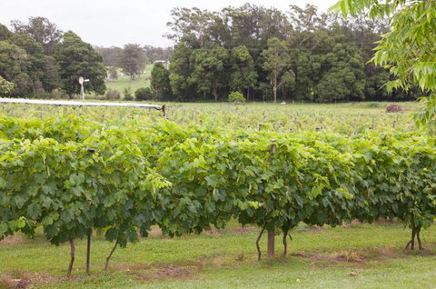 Two Tails Wines - VIC Tourism 2