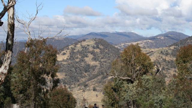 Paddys River NSW VIC Tourism