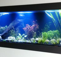 Aquariums in Cairns - VIC Tourism