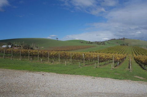Wine Compass - VIC Tourism 1