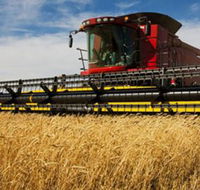 Quirindi Grain and produce - VIC Tourism