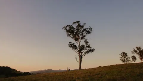 Faulls Ridge Winery - VIC Tourism 0