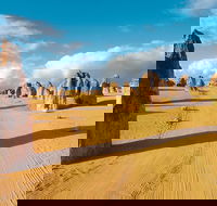 Pinnacles Desert Koalas and Sandboarding 4WD Day Tour from Perth - VIC Tourism