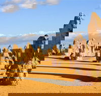 Pinnacles and Yanchep National Park Day Trip from Perth Including Lobster Shack Lunch and Sandboarding - VIC Tourism