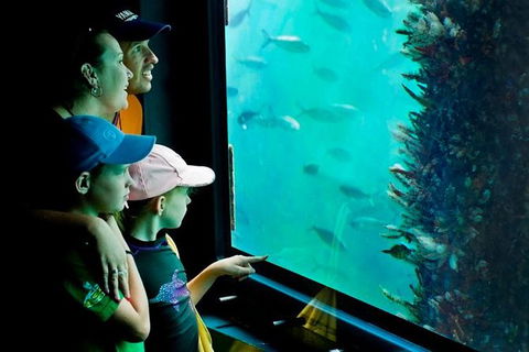 2-hour Busselton Jetty Package: Jetty Train And Underwater Observatory - VIC Tourism 1