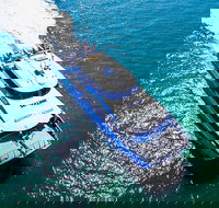 Rottnest Island Roundtrip Ferry from Perth with Transfer - VIC Tourism