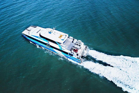 Rottnest Island Roundtrip Ferry From Perth With Transfer - VIC Tourism 1