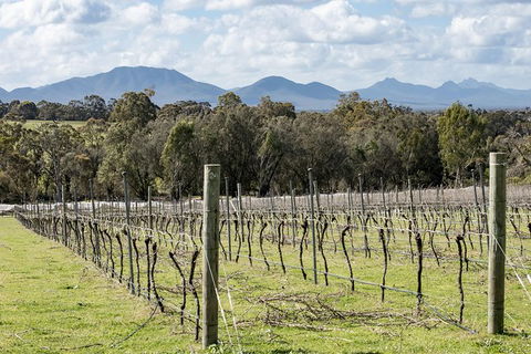 Mt Barker Grape Escape - VIC Tourism 1
