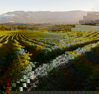 Half-Day Swan Valley Walk  Fruit Orchard - VIC Tourism