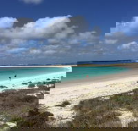 Abrolhos Island Half Day Fly and Flipper - VIC Tourism