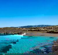 Rottnest Island Roundtrip Fast Ferry from Hillarys Boat Harbour - VIC Tourism