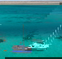 Whale Shark Swim by Catamaran in Shoulder Season - VIC Tourism