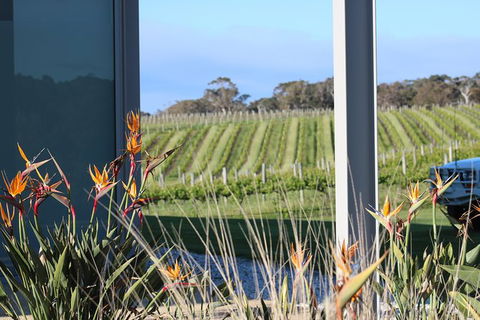 Margaret River Wine And Sights Discovery Tour From Busselton Or Dunsborough - VIC Tourism 3
