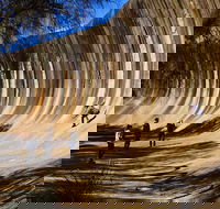 The Big Wave Rock Private Day Tour - VIC Tourism
