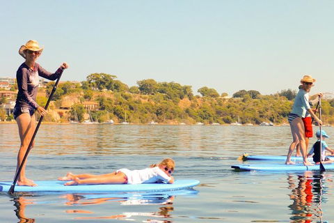Stand-Up Paddleboarding Lesson Plus Guided Paddle On Perth's Swan River - VIC Tourism 0