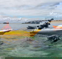 Seal Island and Penguin Island or Point Peron Sea Kayak Tour - VIC Tourism