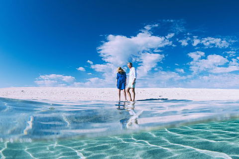 4-Day Coastal Loop Via Monkey Mia Wild Dolphins Kalbarri Pinnacles Perth Return - VIC Tourism 13