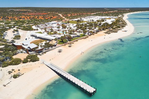 4-Day Coastal Loop Via Monkey Mia Wild Dolphins Kalbarri Pinnacles Perth Return - VIC Tourism 10