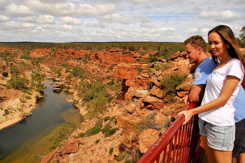 4-Day Coastal Loop Via Monkey Mia Wild Dolphins Kalbarri Pinnacles Perth Return - VIC Tourism 11