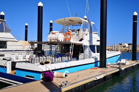 Muiron Island Dive & Snorkel Tour - VIC Tourism 7