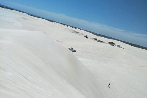 Yanchep & Lancelin - Wildlife, Cave And Sands - VIC Tourism 3