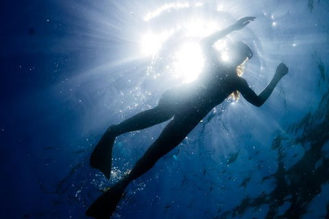 Ningaloo Reef Or Muiron Islands Snorkeling And Wildlife Adventure - VIC Tourism 6