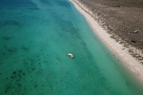 Ningaloo Reef Or Muiron Islands Snorkeling And Wildlife Adventure - VIC Tourism 10