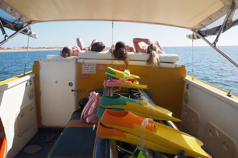 Ningaloo Reef Or Muiron Islands Snorkeling And Wildlife Adventure - VIC Tourism 11