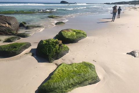 Cape To Cape Track Hike And Winery Tour - VIC Tourism 7