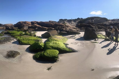 Cape To Cape Track Hike And Winery Tour - VIC Tourism 11