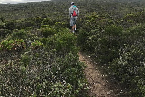 Cape To Cape Track Hike And Winery Tour - VIC Tourism 10
