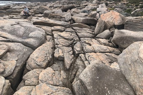 Cape To Cape Track Hike And Winery Tour - VIC Tourism 8