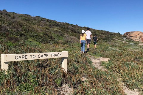 Cape To Cape Track Hike And Winery Tour - VIC Tourism 4
