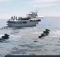 Busselton Whale Watching Eco Tour - VIC Tourism