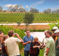 Yarra Valley Wine and Winery Tour from Melbourne - VIC Tourism