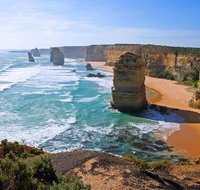 Great Ocean Road Small-Group Ecotour from Melbourne - VIC Tourism