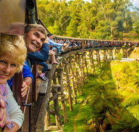 Puffing Billy Steam Train  Healesville Wildlife Sanctuary Tour From Melbourne - VIC Tourism